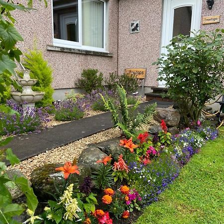 Treetops Bungalow Loch Ness Drumnadrochit Exteriér fotografie