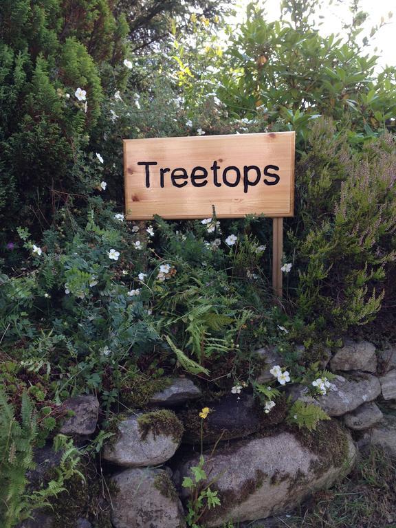 Treetops Bungalow Loch Ness Drumnadrochit Pokoj fotografie